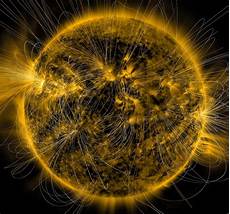 Pro Solar