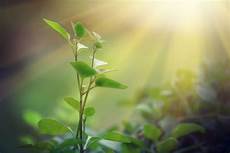 Solar Enery
