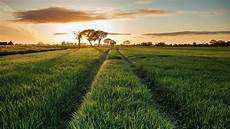 Solar Field