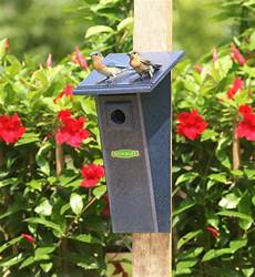 Solar Heaters